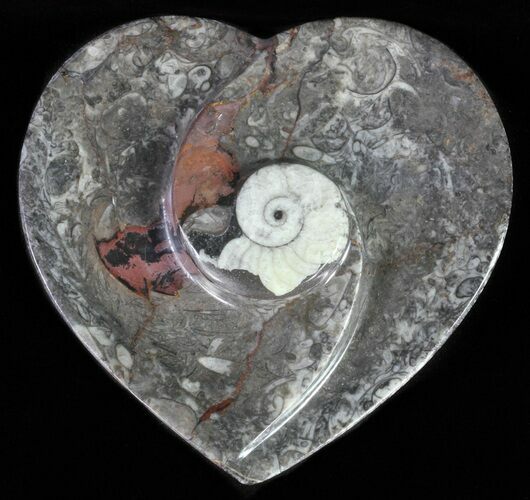 Heart Shaped Fossil Goniatite Dish #61270